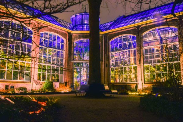 hortus-by-night-amsterdam_1