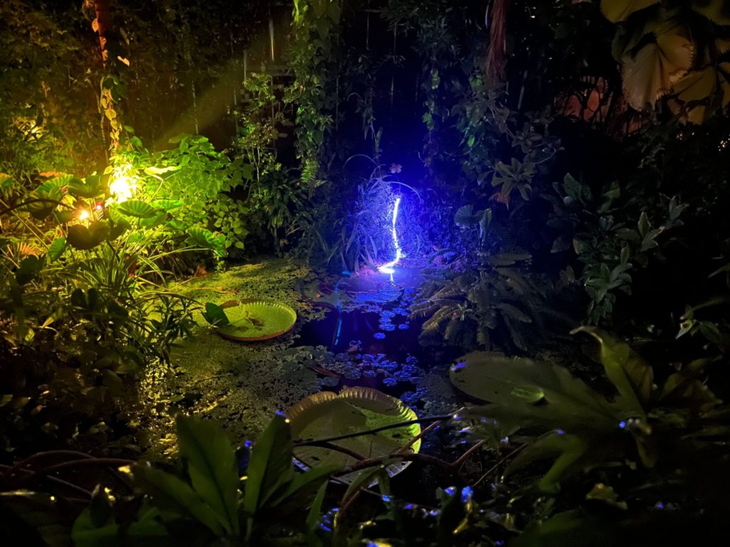 hortus-by-night-amsterdam_2