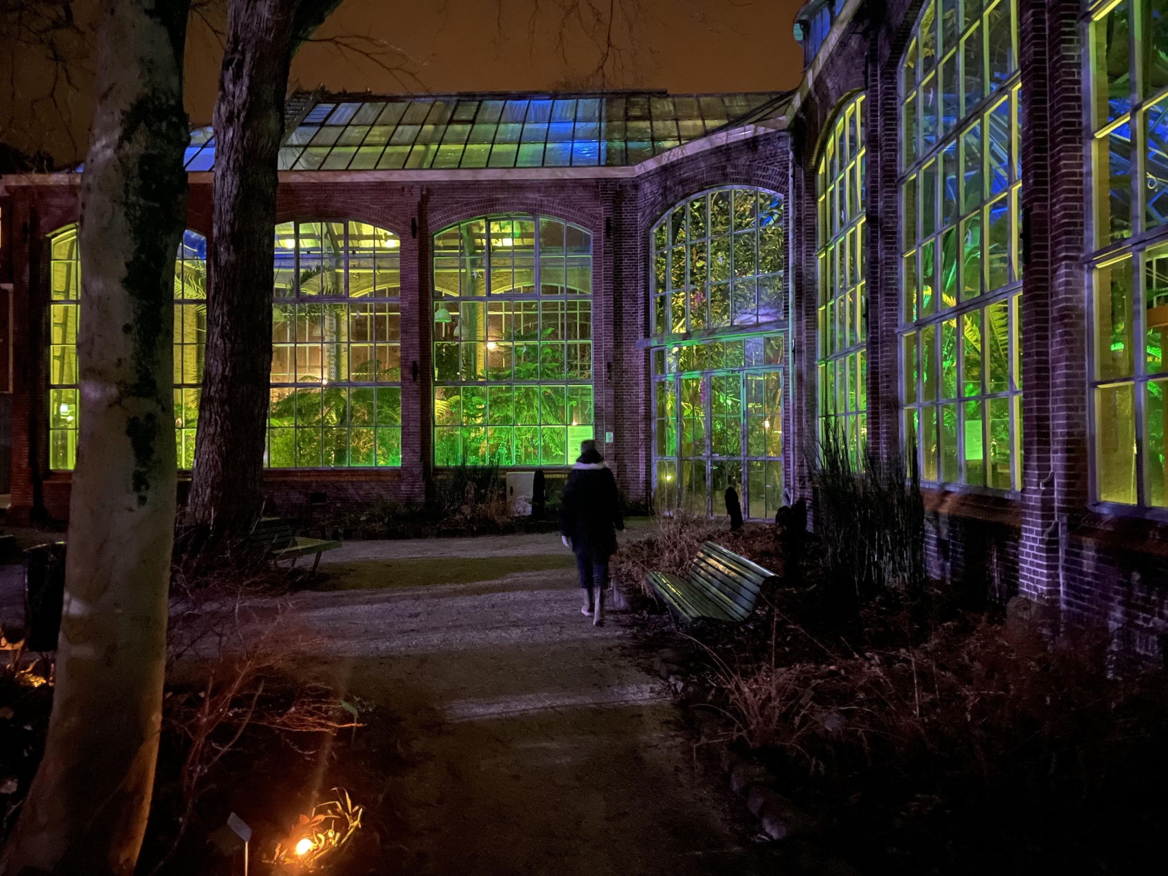hortus-by-night-amsterdam_6