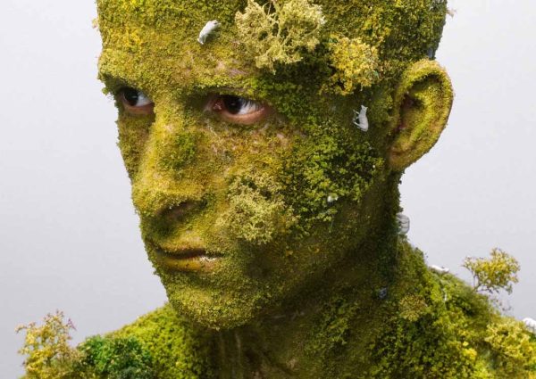 Art Island: Art fair with 30 galleries on Fort Island