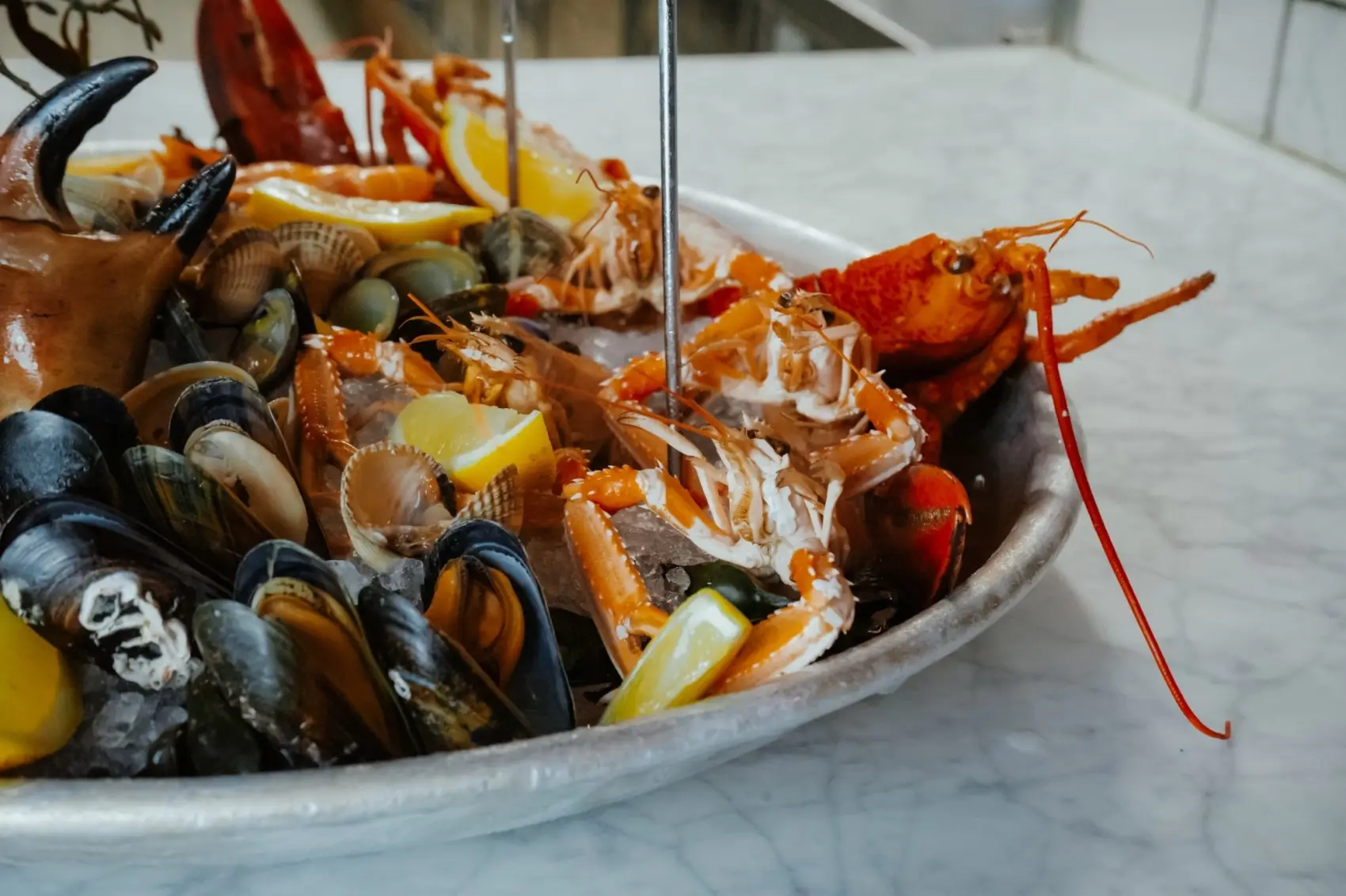 lucius-amsterdam lucius-amsterdam