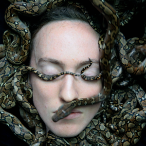 Tentoonstelling Metamorfosen in het Rijksmuseum met zeker 80 topstukken