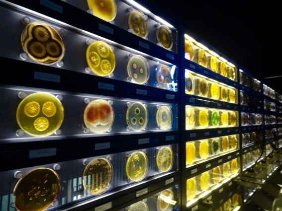 micropia-artis-museum-amsterdam_1