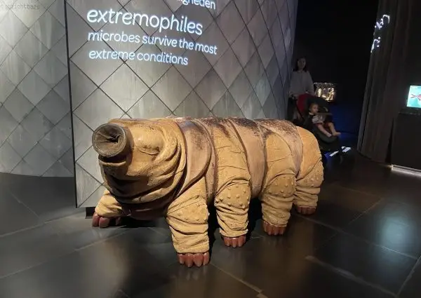 Micropia: Interactive science museum focused on microbes