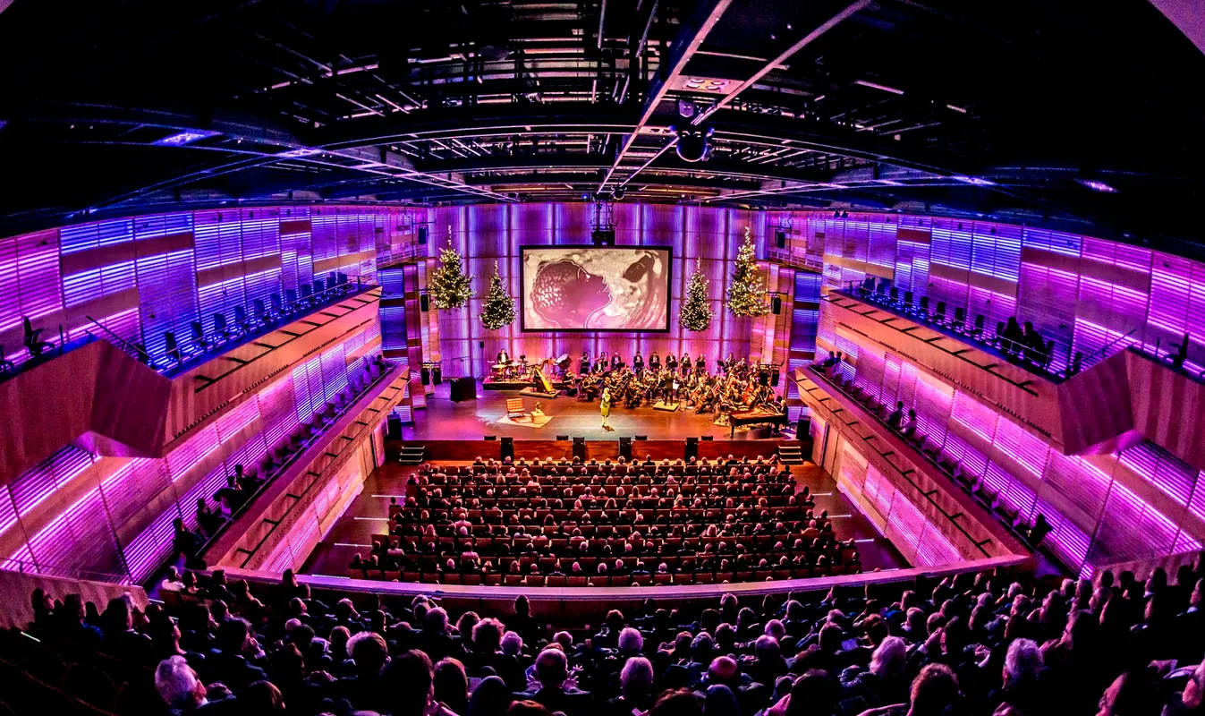 muziekgebouw-ij-amsterdam muziekgebouw-ij-amsterdam