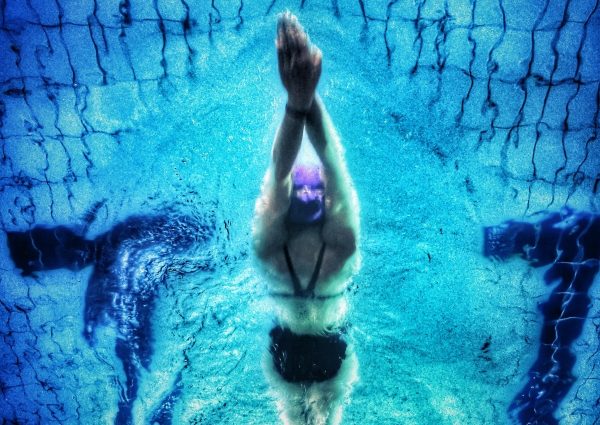 Noorderparkbad: The pool that holds up a mirror to North