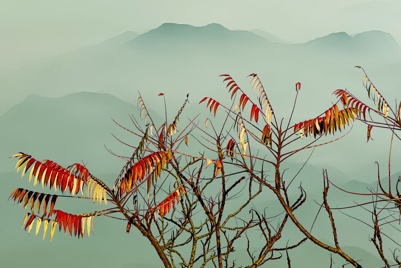 paf-photo-exhibition-north-amsterdam_2