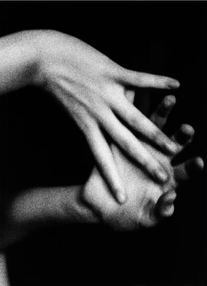 A Parade of Wonder at Hungry Eye Gallery in North