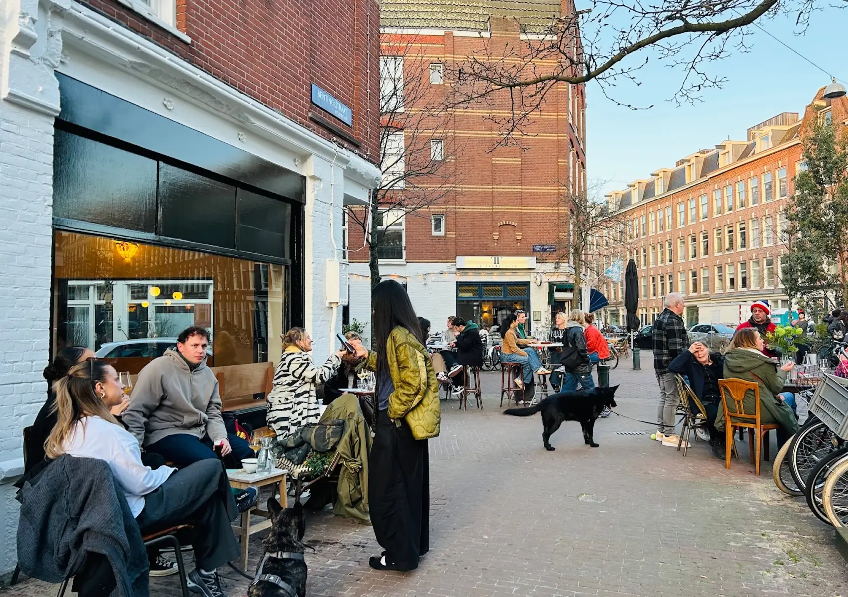 The Blue Tit: wine café in the Staatslieden neighborhood