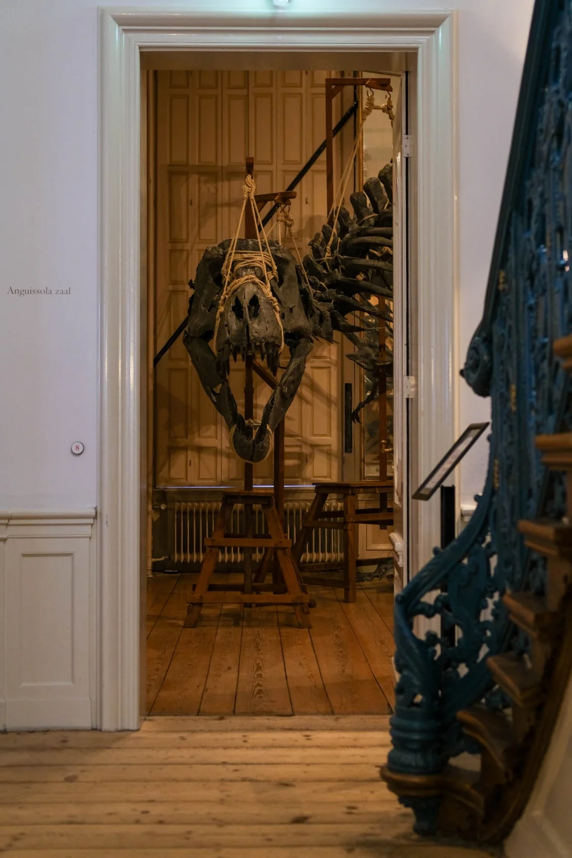 relics-prehistorie-tentoonstelling-art-zoo-museum-amsterdam