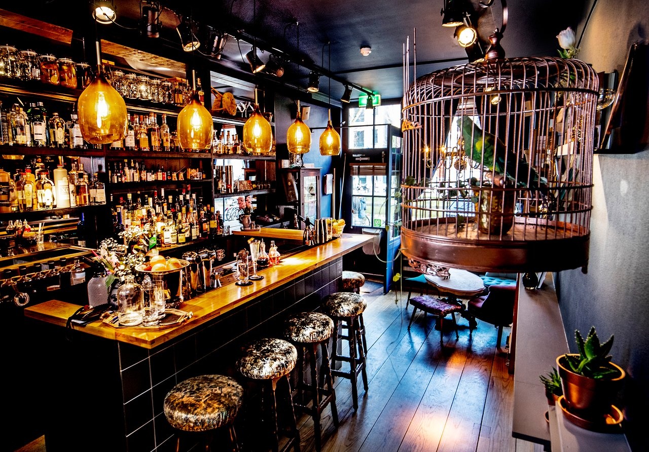 rosalias-menagerie-bar-amsterdam_1
