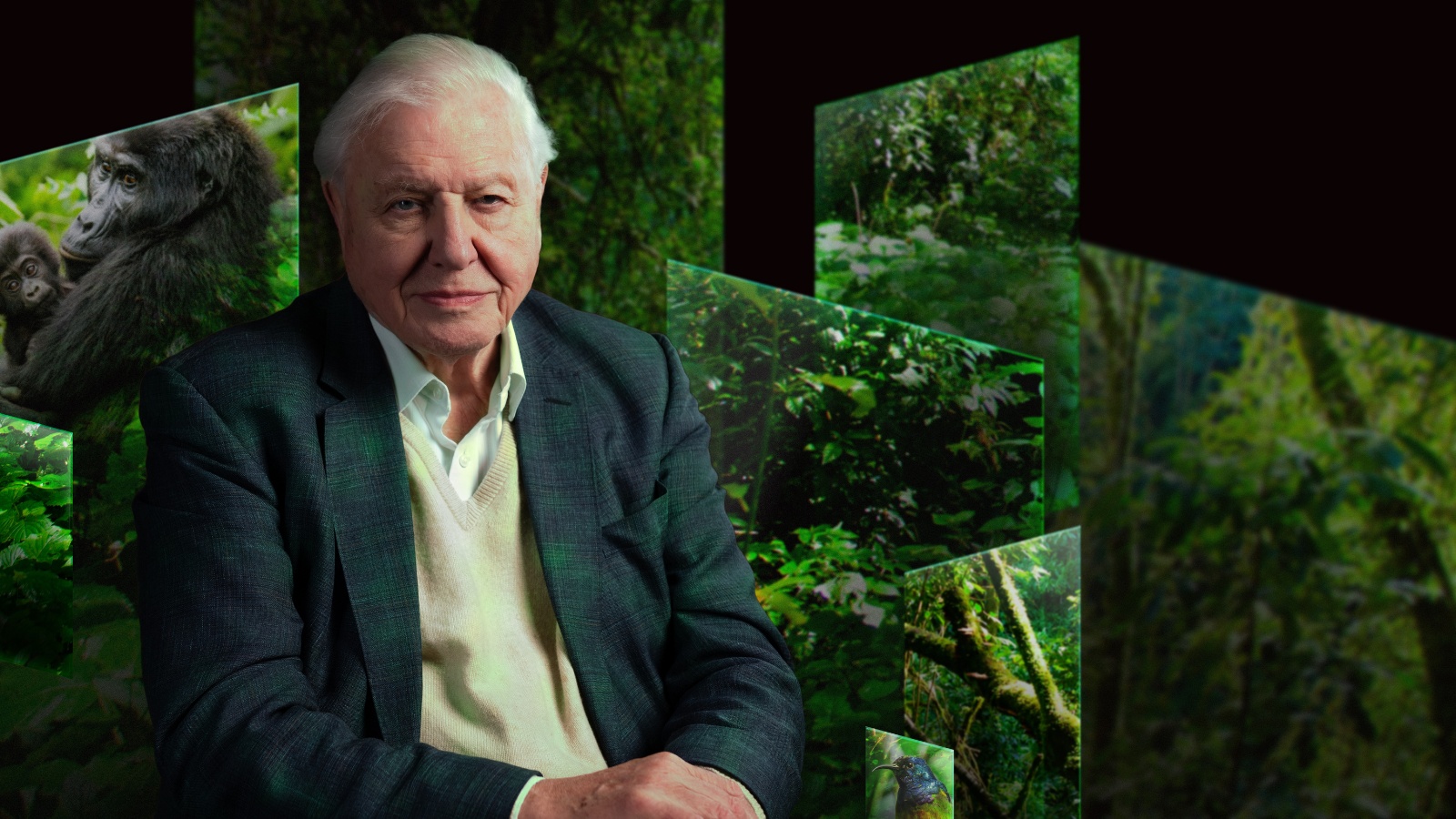 sir-david-attenborough-our-story-artis sir-david-attenborough-our-story-artis