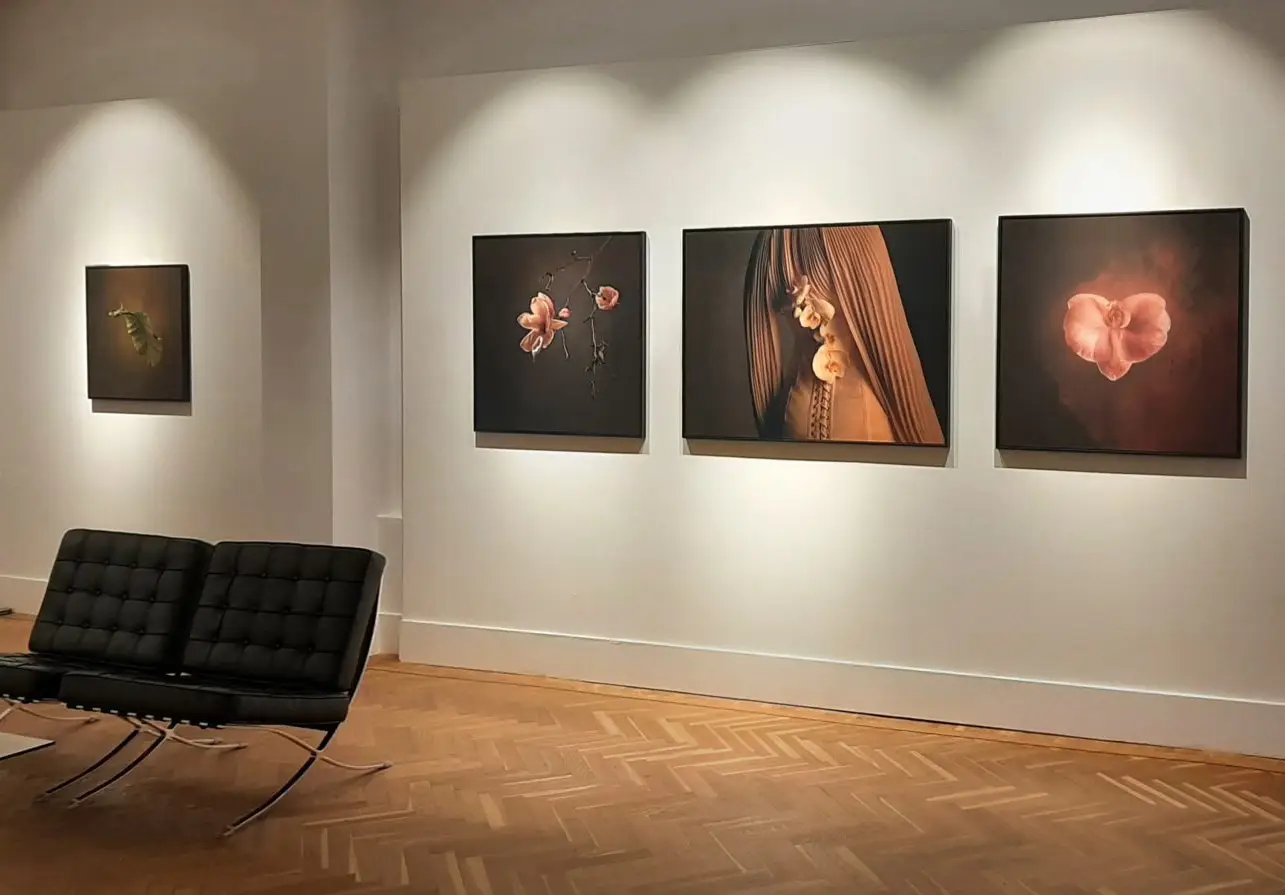 smithdavidson-gallery-amsterdam