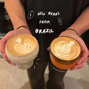 Sol Coffee Bar: specialty coffee, matcha and board games