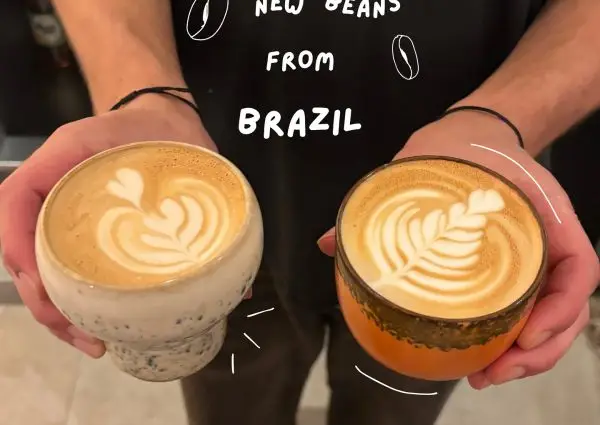 Sol Coffee Bar: specialty coffee, matcha and board games