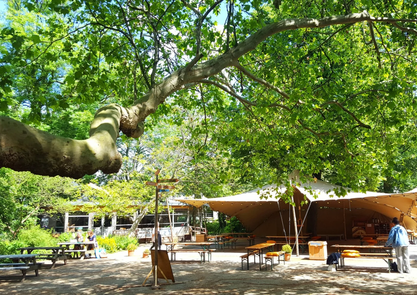 Tolhuistuin: Culture, concerts and debate in North