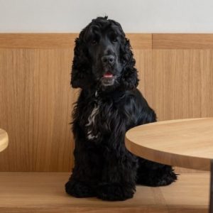 Two Story: Inspirerend café, gallery en designstore