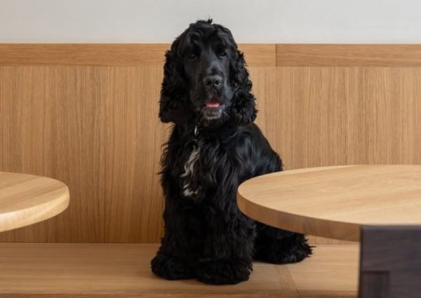 Two Story: Inspirerend café, gallery en designstore