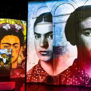 Vincent Hall: Zintuigelijke Van Gogh, Kahlo en Bosch beleving