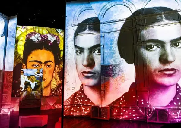 Vincent Hall: Zintuigelijke Van Gogh, Kahlo en Bosch beleving