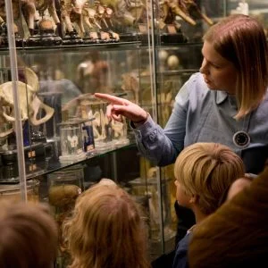 Museum Vrolik: an anatomical collection more than 250 years old