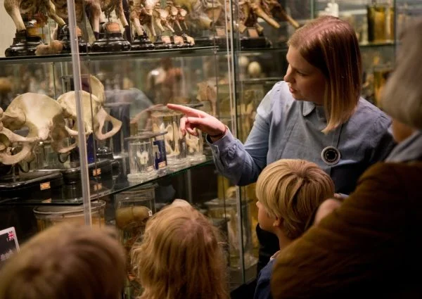 Museum Vrolik: an anatomical collection more than 250 years old