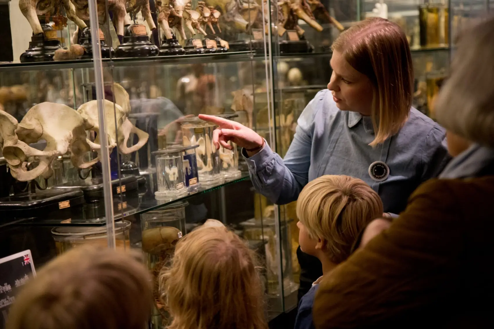 vrolik-amc-museum-amsterdam_4 vrolik-amc-museum-amsterdam_4
