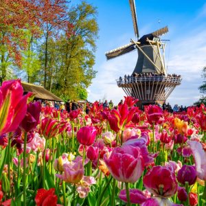 Weekend Tips Amsterdam: What to do this weekend?