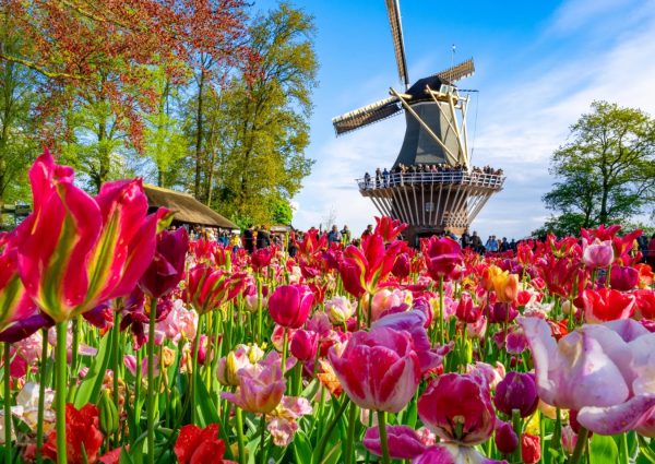 Weekend Tips Amsterdam: What to do this weekend?