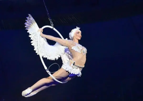 39e Wereldkerstcircus in Carré: Een Spectaculaire Circuservaring