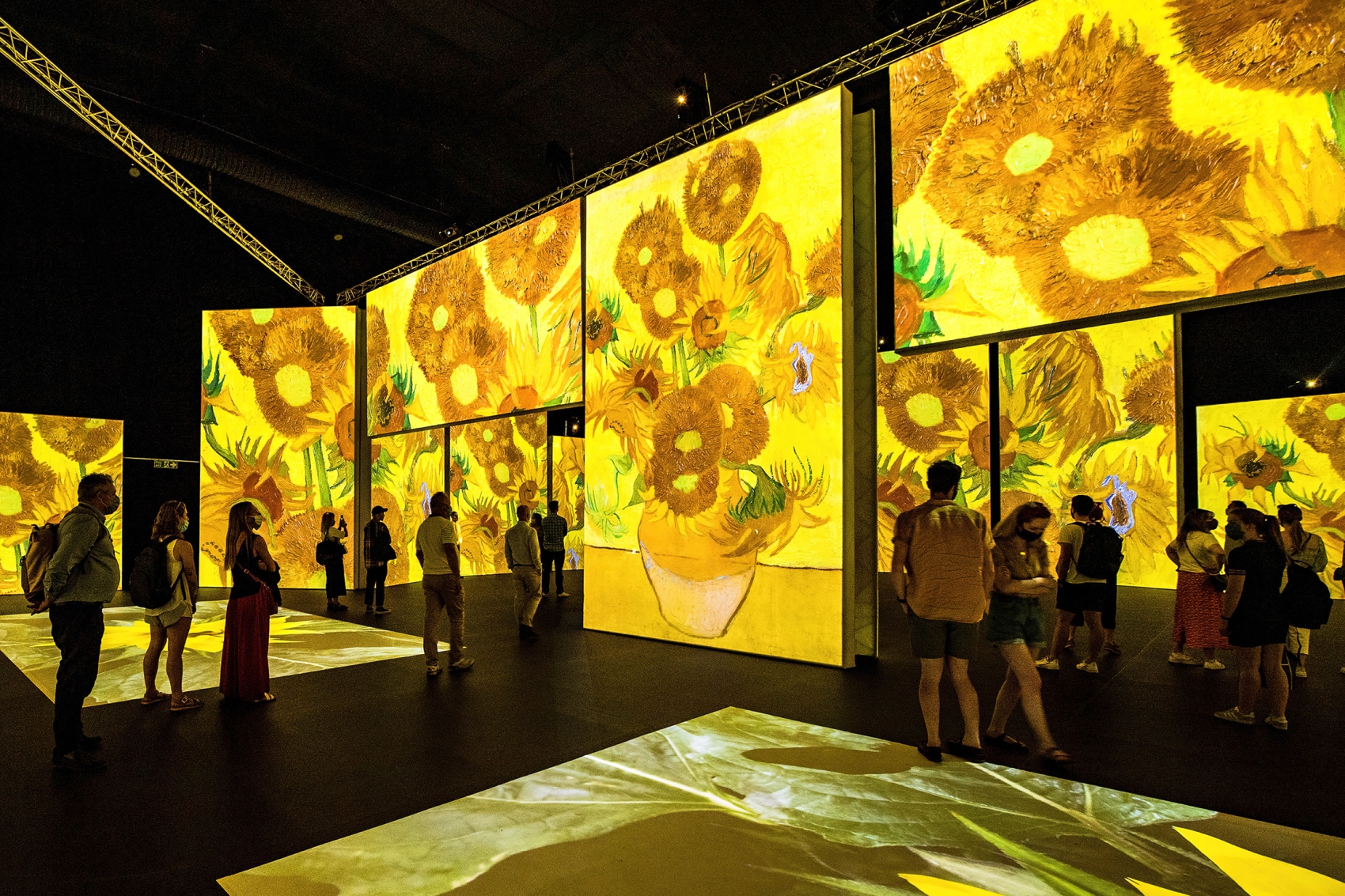 yellow-exhibition-van-gogh-museum-amsterdam_5